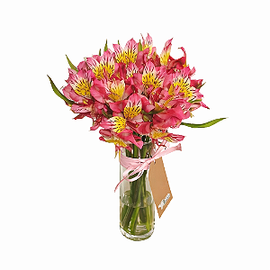 Astroemerias No Vidro