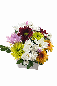 Arranjo Flores do Campo Mini