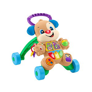 ANDADOR FISHER-PRICE CACHORRINHO QUE ANDA FRC78 MULTICOR (OUTLET) BOX