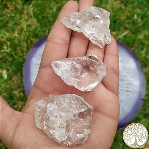 Cristal Bruto