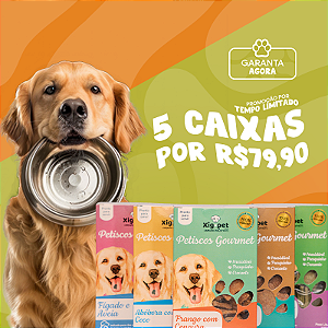 PROMOÇÃO - 5 CAIXA DE SNACKS SORTIDOS POR R$79,90