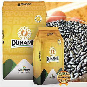 Semente Capim Dunamis Brachiaria Pastagem Bovino Vc 80 20kg.