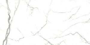 Porcelanato Delta Carrara Cristal Acetinado Rt 53X106  Cx2,23M²