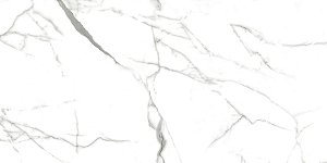 Porcelanato Delta Carrara Cristal Pol Rt 53X106  Cx2,23M²