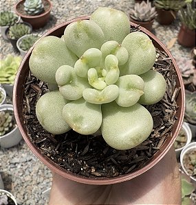 E. BILL GATES POTE 9