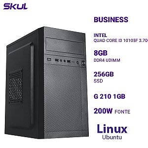 PC Skul B300 Quad Core I3 10105f 3.70ghz 8gb Ssd 256gb G 210 1gb Linux