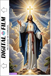 Película Skin lisa - 188