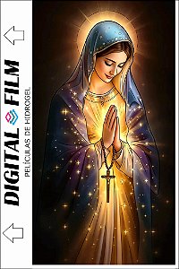 Película Skin lisa - 208