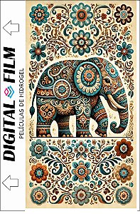 Película Skin lisa - 210