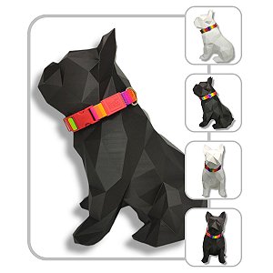 Coleira de pescoço para cachorro - Modelo Arco-Íris
