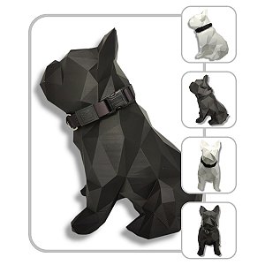 Coleira de pescoço para cachorro - Modelo Black