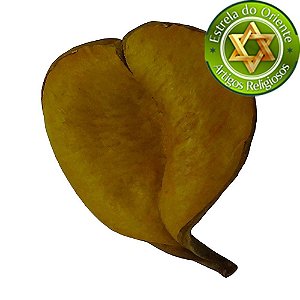 Fava de Oxum Aberta