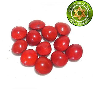 Fava da Sorte