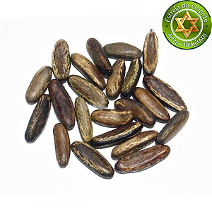 Fava de Oxumare