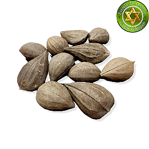 Fava de Exu / Dedo de Exu