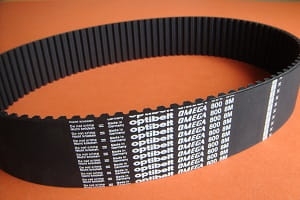 CORREIA OPTIBELT OMEGA 50MM 800 8M