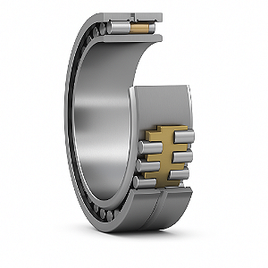 Rolamento 2 Carreiras SL 04 5005 PP - Rolos Cilíndricos