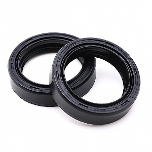 Retentor 65 x 100 x 10 mm