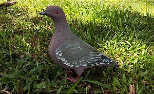 Réplica Chama de Asa Branca Carijó Macho com Pernas