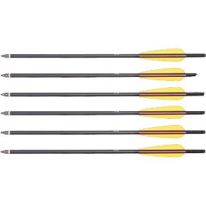 Kit com 6 Flechas de Alumínio 20 polegadas (508 mm) Black