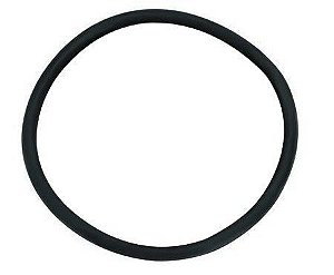 Amanco Anel Vedação 100
