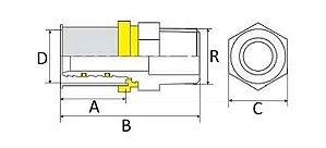 Pex Gás Amanco Conector Transição M Gás Dn26x3/4