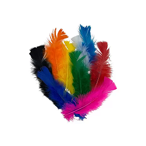 Penas Coloridas (pacote)