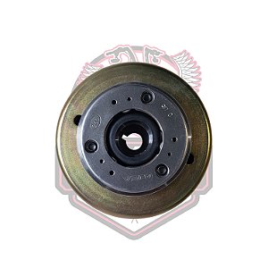 Volante Magneto Com Placa De Partida Fym 250 Shark 250 Shineray Xy 250 Custom