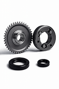 Conjunto Rolamento e Placa de Partida Com Retentor Fym 250 Shark 250 Shineray Xy 250 Custom