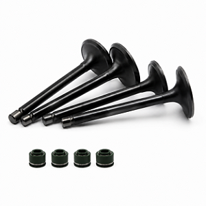 Kit Valvula Escape e Admissão Completo Com Retentor Virago 250 Kansas 250 V Blade 250