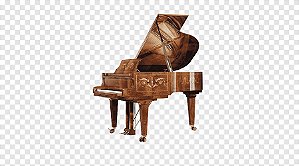 Piano de cauda Fazioli Bösendorfer Wilhelm Schimmel