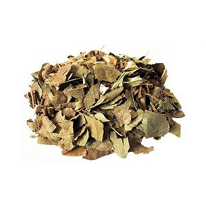 Abacate 2 pacotes 20g cada