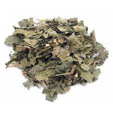 Mangaba 2 pacotes 10g cada