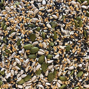 Mix de Sementes 100g