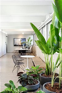 Paisagismo Corporativo