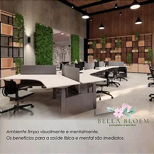 Projeto de Paisagismo em Escritórios