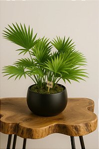 Vaso Bretagne Preto Fosco Licuala