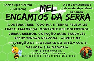 Mel de Italiana (Apis Melifera)