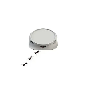 Porta Isca Para Formigas E Baratas