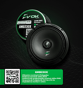 PAR EVOK 6" 230RMS EVOK 4OHMS
