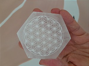 Selenita: placa hexagonal com flor da vida P