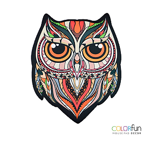 Mouse Pad Imã Colorfun Owl Reliza