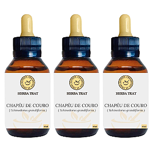 CHAPÉU DE COURO - EXTRATO 60ML ( Tintura Mãe ) KIT COM 03 UNIDADES