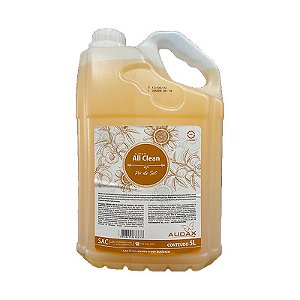 ALL CLEAN SABONETE POR DO SOL  AUDAX 5L