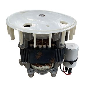 Motor Lavadora Tanquinho Mueller Poptank 4P 1/8CV 220V