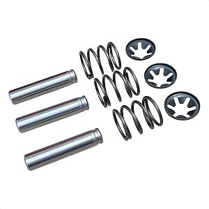 Conjunto Pistão Lavadora de Alta Pressão Electrolux EAS20