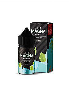 Salt Magna Mint - Spearmint - 20mg - 30ml