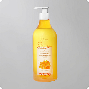 Shampoo de Tratamento Coreano Hidratação Citrus Fantasy Picasso Professional - 1000ml