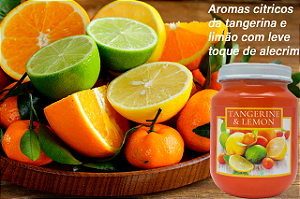 vela orange and limes 170 g