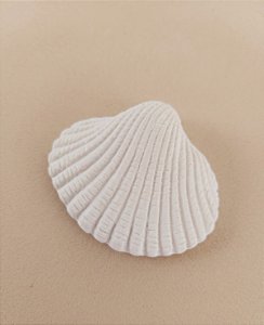 Aplique Concha